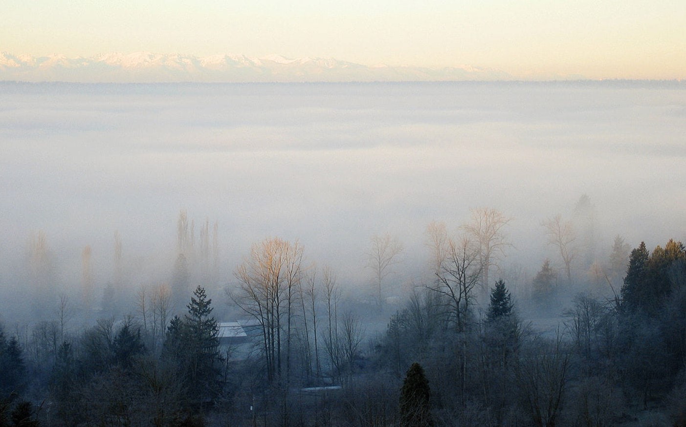غداً صباحاً : ضباب كثيــف بأغلب الجهات