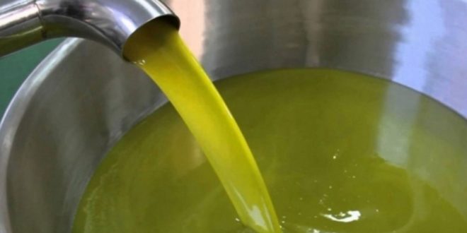 وزيرا الفلاحة والتجارة يأذنان بالشروع في تنفيذ برنامج تخزين زيت الزيتون وسط ارتفاع متواصل لمخزون الزيت