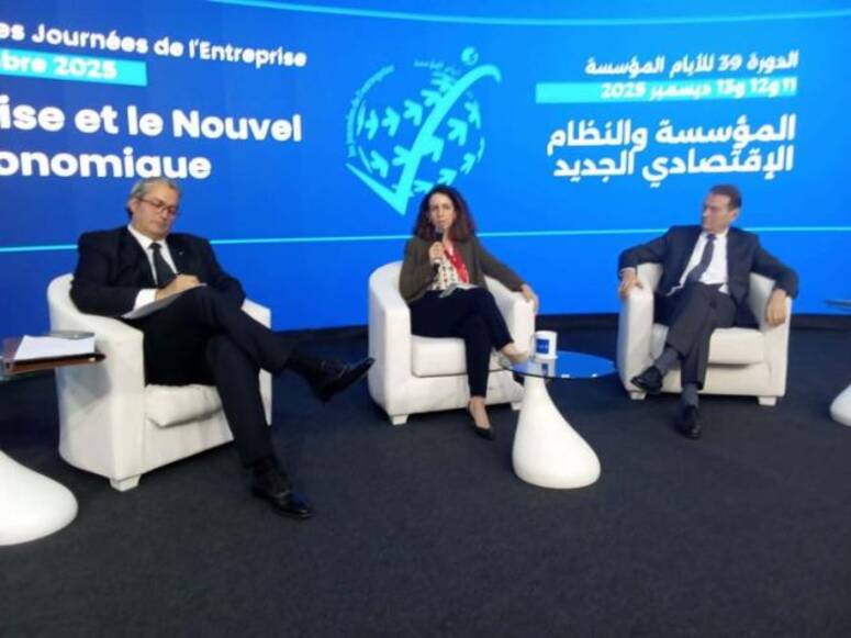 ممثلة المؤسسة المالية الدولية بتونس : المؤسسات المالية الدولية ستواصل دعم تونس لانجاز مشاريع متصلة بالطاقات المتجددة