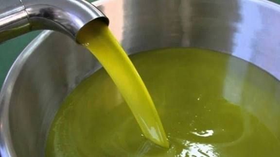 انخفاض سعر زيت الزيتون ،،،رئيس لجنة الفلاحة بالبرلمان يوضح