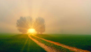 Météo : brouillard dense le matin et ciel partiellement nuageux