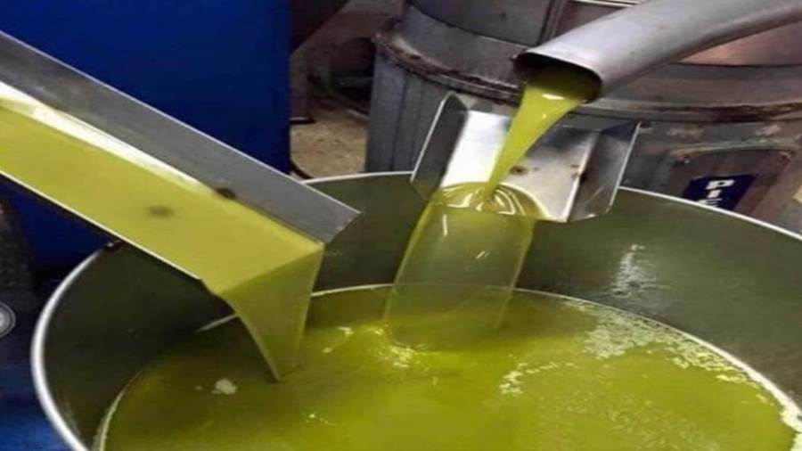 انطلاق العمل ببرنامج تخزين كميات من زيت الزيتون لدى المتدخلين في القطاع.