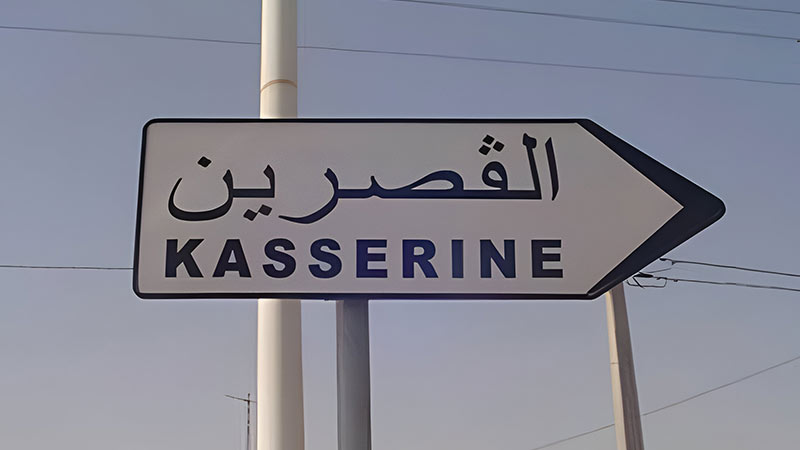 رئيس دائرة الإنتاج الحيواني بالقصرين: الوضع الوبائي المرتبط بالأمراض الحيوانية مستقر