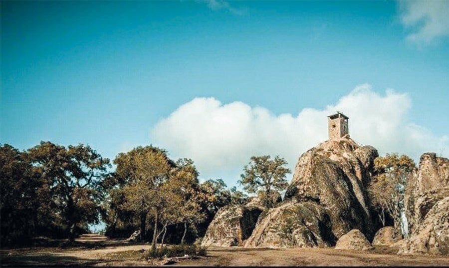 في محمية الفايجة مركز إيواء مهمل في غياب التشريع الملائم لاستغلاله