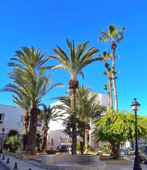 أمطار متفرقة ومؤقتا رعدية بالمناطق الغربية للجنوب والوسط ثم تشمل تدريجيا ومحليا بقية الجهات