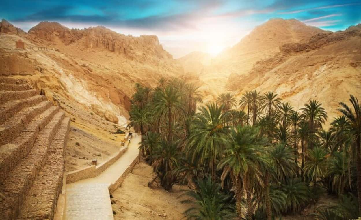 توزر: استعدادات لإنجاح الأنشطة السياحية بمناسبة عطلة الشتاء واحتفالات رأس السنة