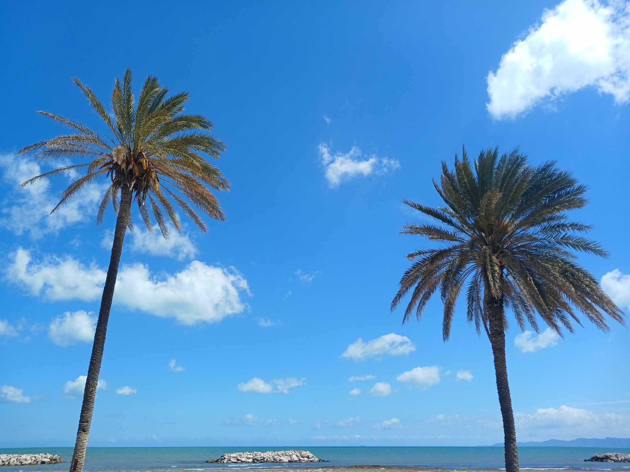 طقس كثيف السحب مع أمطار بأغلب الجهات و الحرارة في انخفاض