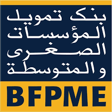 بنك تمويل المؤسسات الصغرى والمتوسطة يكشف عن منظومة معلوماتية جديدة لتيسير النفاذ إلى التمويلات