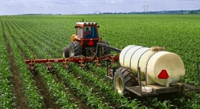 تحقيق نسبة إنبات جيّدة ومتجانسة في مجال الزراعات الكبرى بولاية الكاف بفضل التساقطات الاخيرة . 