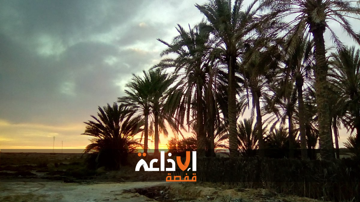 قبلي : تساقط كميات محترمة من الامطار والمصالح الفلاحية تؤكد اثرها الايجابي لا سيما على المساحات المخصصة للمراعي