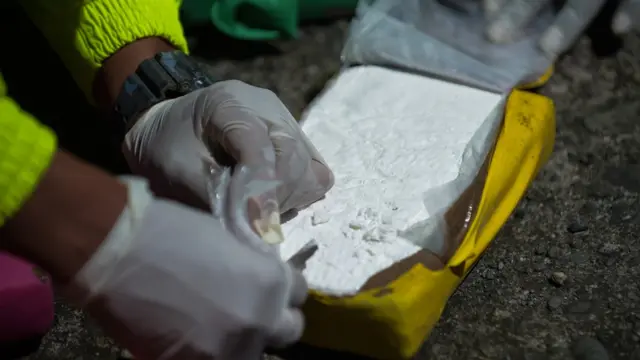 شرطة إيطاليا تعتقل 384 شخصا وتضبط 1.4 طن من المخدرات في حملة واسعة النطاق