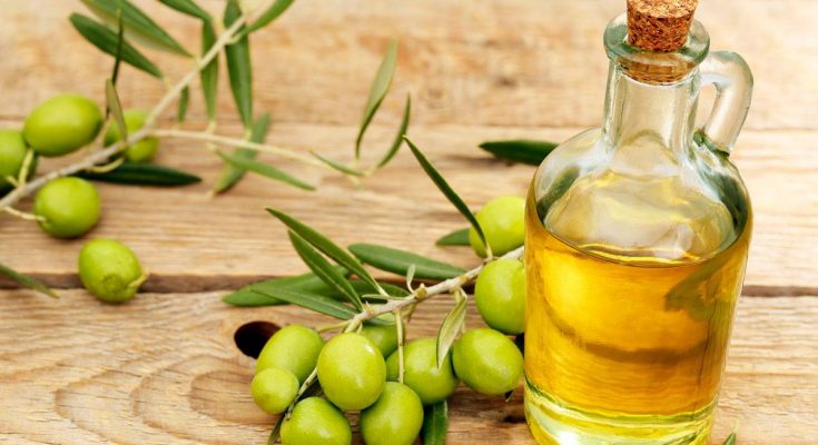 باحثة: القيمة الغذائية لزيتون شملالي تطاوين الأفضل عالميا ويجب المحافظة على هذا الموروث الزراعي