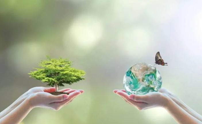 تونس : نحو إرساء مرجعية وطنية لتمويل التنوّع البيولوجي