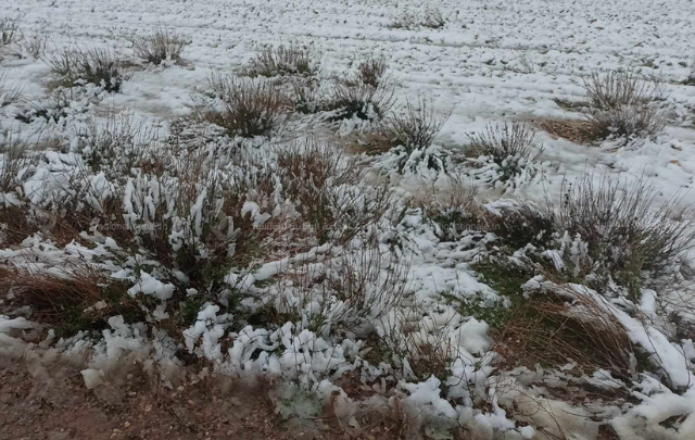 بداية من الليلة: الحرارة تنخفض إلى صفر درجة مع تساقط للثلوج بعدة جهات