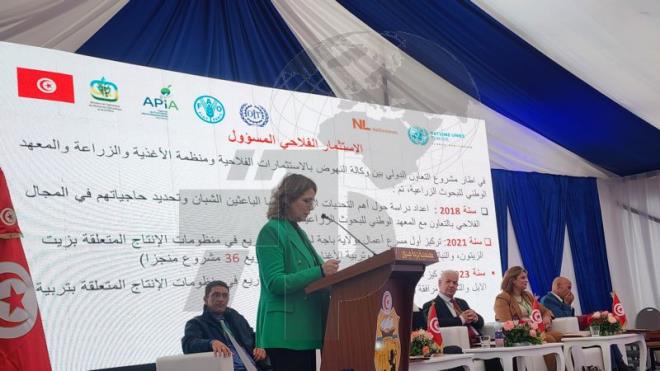 مدنين: فتح باب الترشحات بداية من جانفي القادم لاختيار 80 مشروعا بالجهة ضمن برنامج الاستثمار الغذائي المسؤول (ر.م.ع وكالة الاستثمارات الفلاحية)