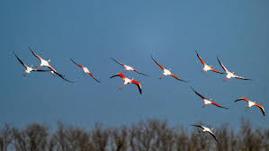 باحثون صينيون يطورون نموذجا جديدا لجودة الهواء