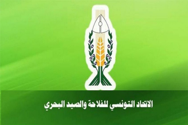 موظفو اتحاد الفلاحة  يحتجون على تأخر صرف رواتبهم للشهر السابع على التوالي.