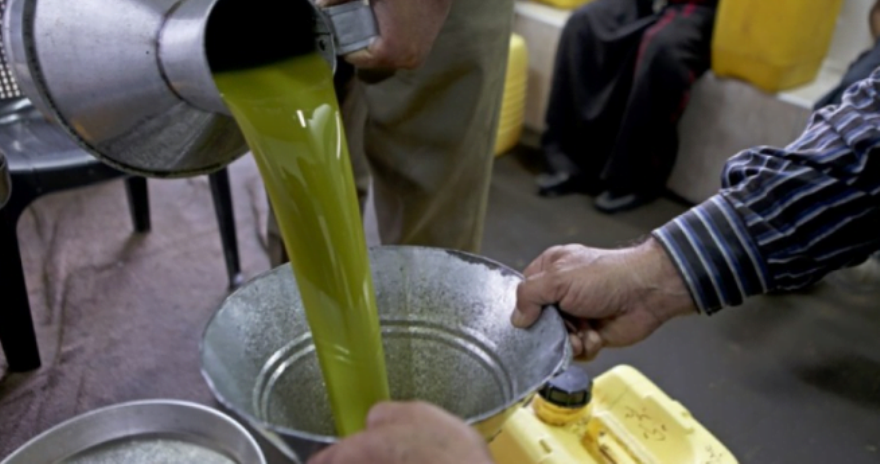 سوسة: زيارات مراقبة لعدد من المعاصر في كل من بوفيشة والنفيضة ومساكن واكودة.