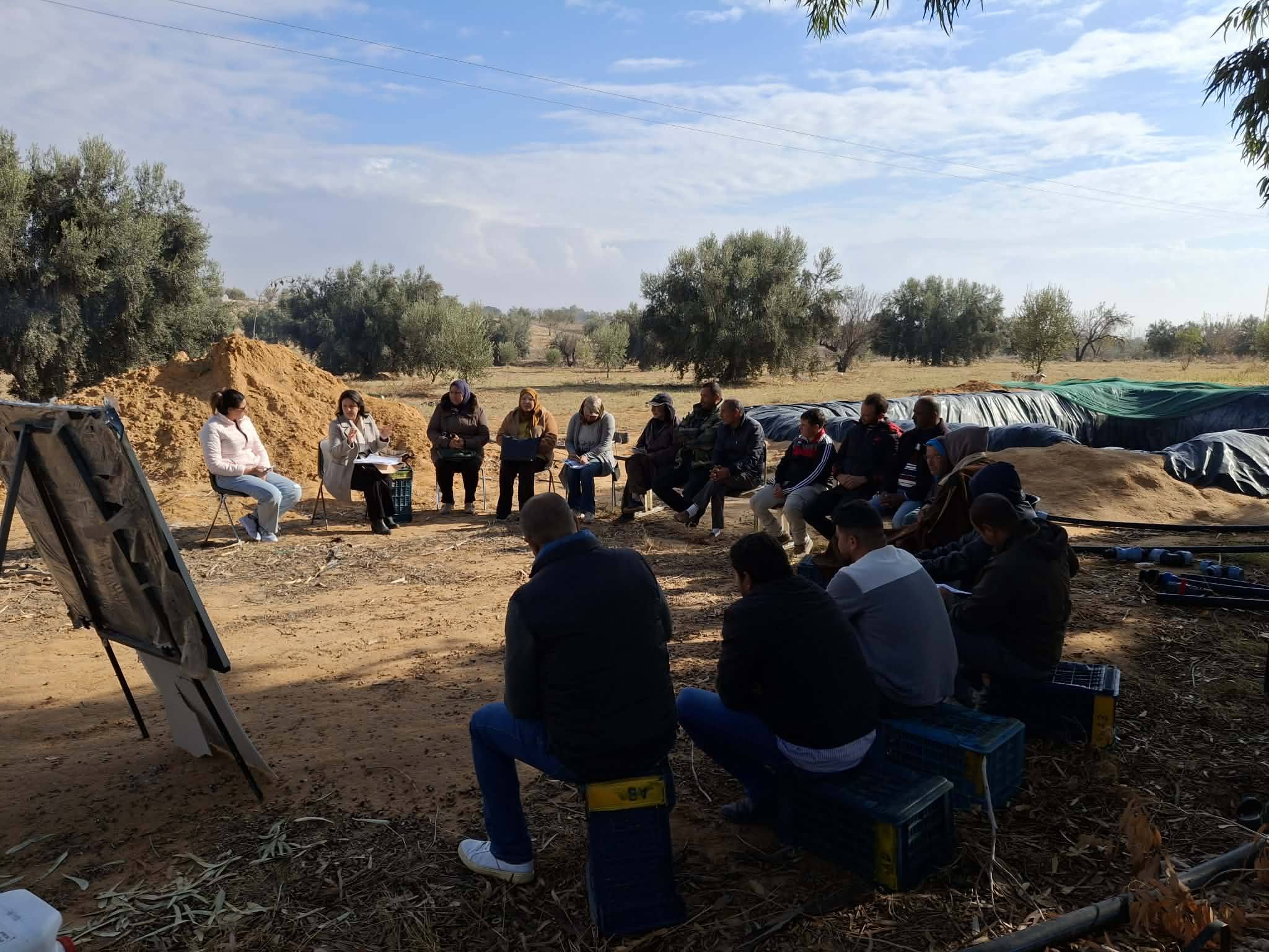 زرمدين و جمال:أنشطة ميدانية وتكوينية لفائدة الفلاحين والفلاحات