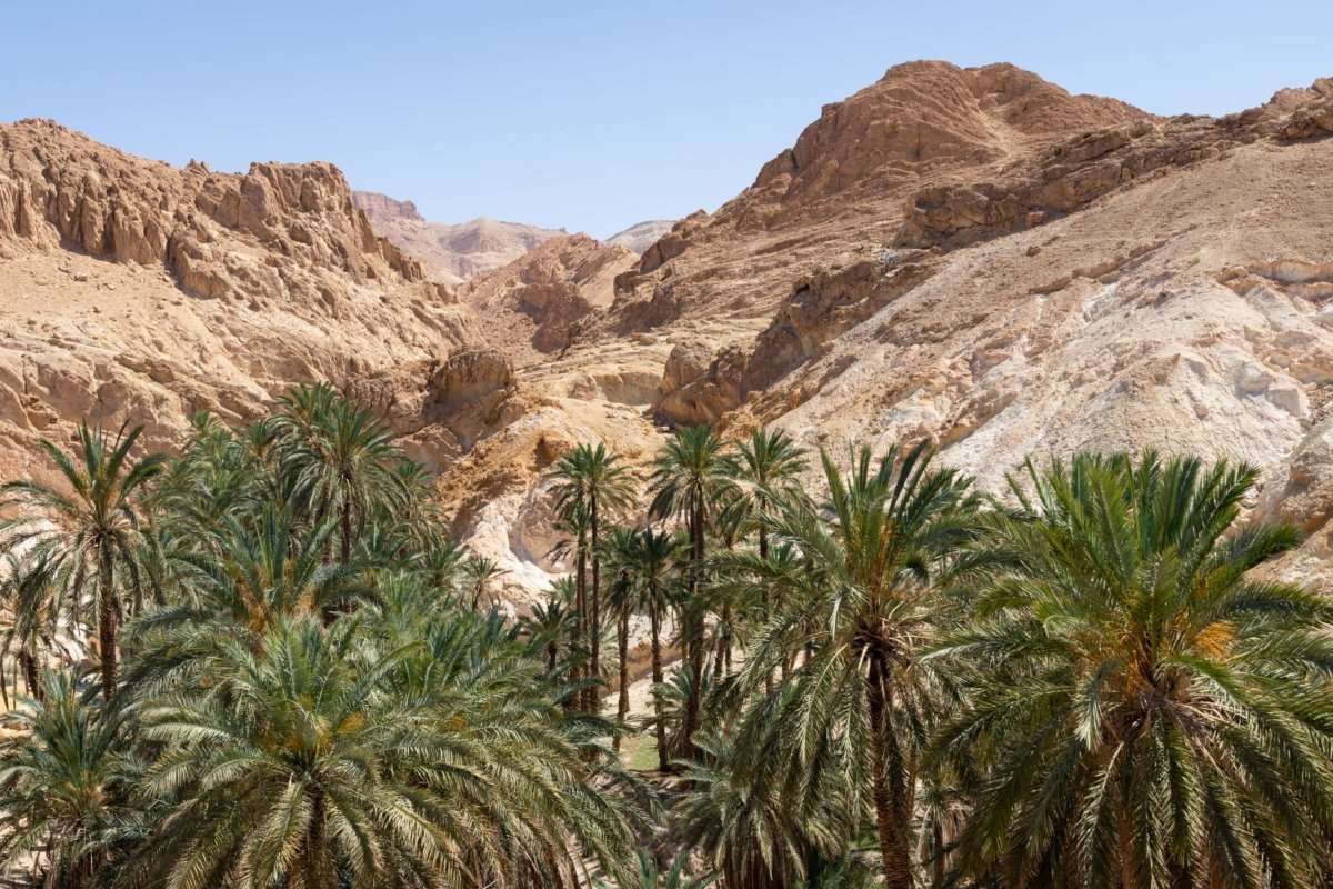 سحب كثيفة مع أمطار رعدية و  إمكانية تساقط البرد بأماكن محدودة