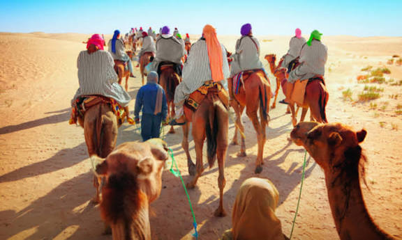 Tozeur : le nombre de nuitées touristiques en hausse de 3,7 % depuis début 2025