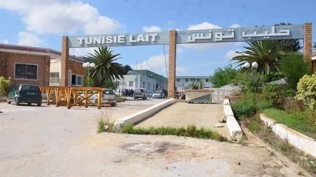 بعد استرجاعها من الدولة : اعادة بعث شركة الألبان الصناعية بسيدي بوعلي تحت اسم 'حليب بلادي' 