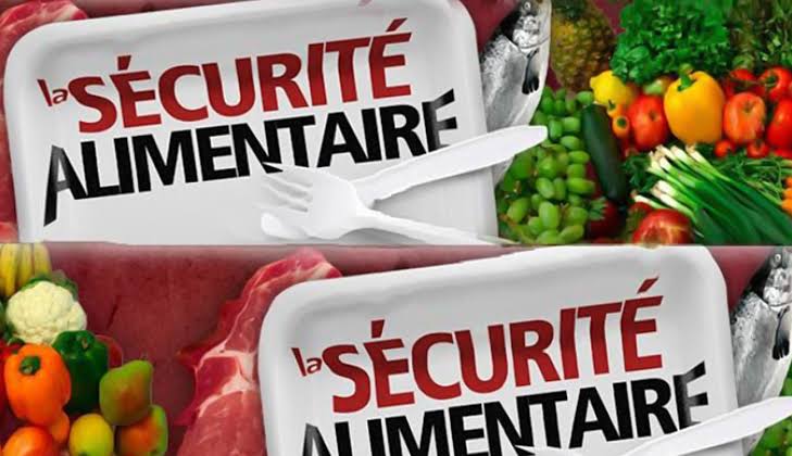 Sécurité alimentaire : la vision prospective de l’Ordre des ingénieurs tunisiens à l’horizon 2070
