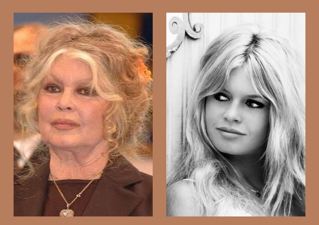 Brigitte Bardot, icône du cinéma français, est morte à 91 ans