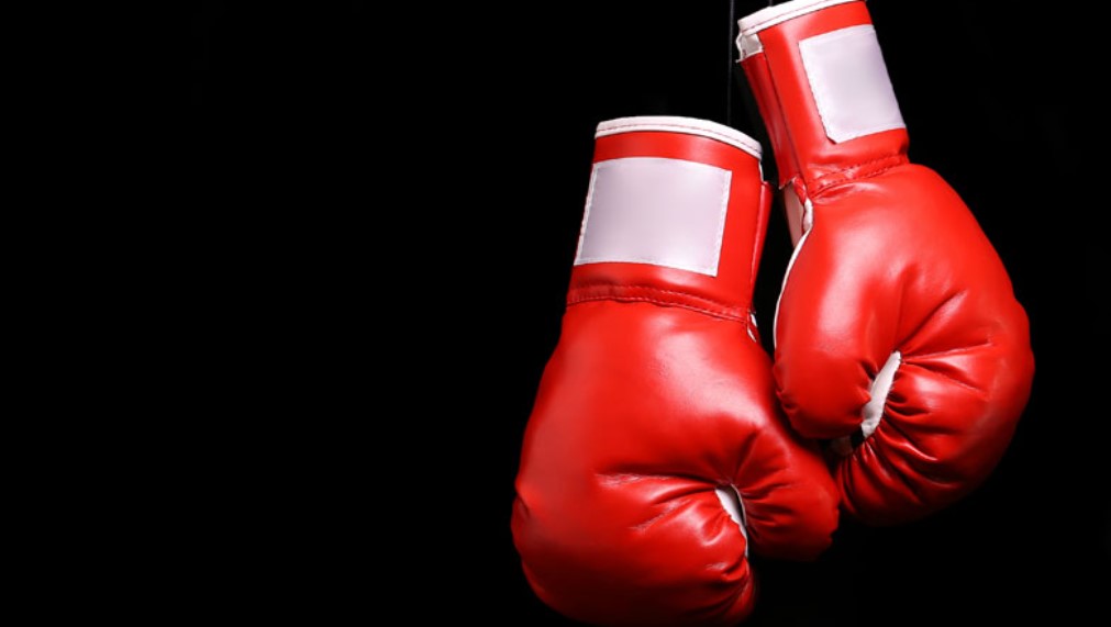 وليد النصيري رئيسا جديدا للجامعة التونسية للملاكمة