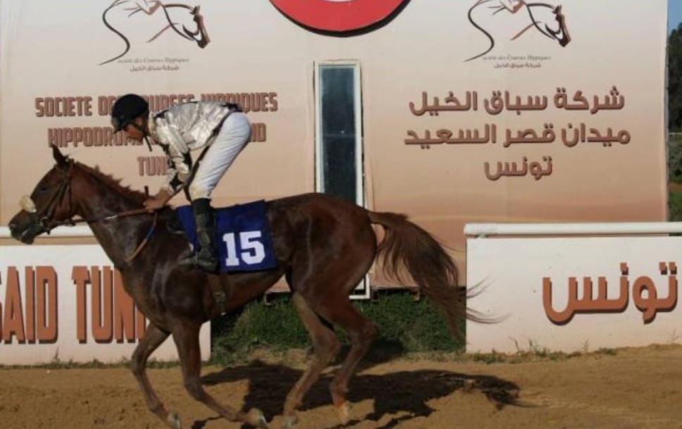 في مركض قصر السعيد: تسليم الجائزة الكبرى لكأس وزارة الفلاحة للخيول العربية الأصيلة