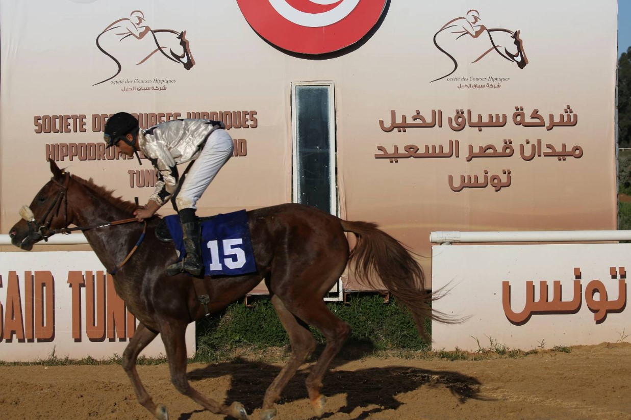 في مركض قصر السعيد: تسليم الجائزة الكبرى لكأس وزارة الفلاحة للخيول العربية الأصيلة