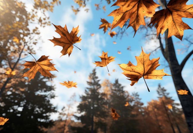 اليوم: أمطار متفرقة وانخفاض طفيف في درجات الحرارة