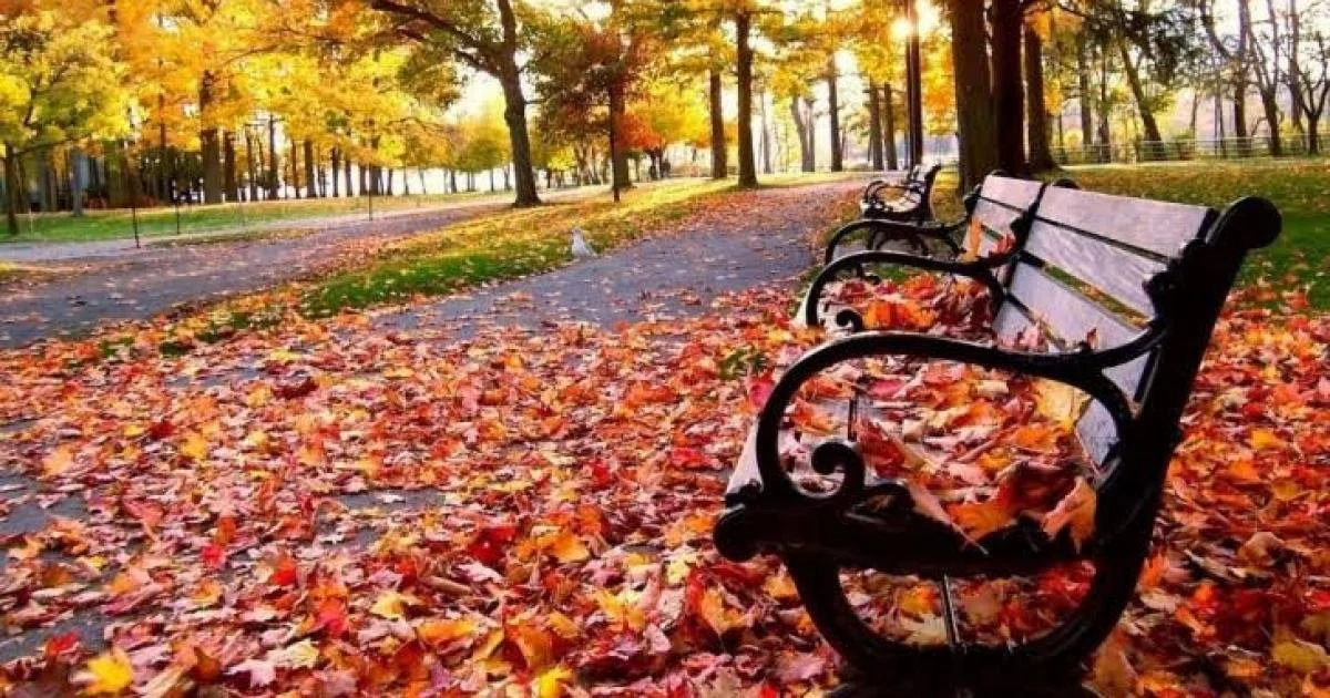 معهد الرصد الجوي: خريف 2025 أكثر دفئًا من المُعدّل لكنّه أقلّ حرارة مُقارنة بالفصول السابقة