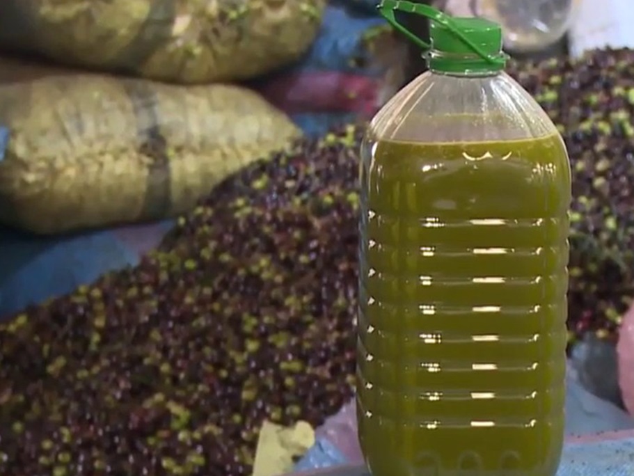 فوزي الزياني يدعو ديوان الزيت إلى التكفل باقتناء زيت الزيتون بأسعار تحد من معاناة الفلاحين.