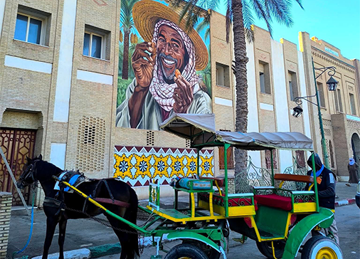 توزر: أكثر من 2800 سائح أقاموا في النزل ليلة رأس السنة والجهة تسجل 235 ألف ليلة مقضاة كامل سنة 2025.