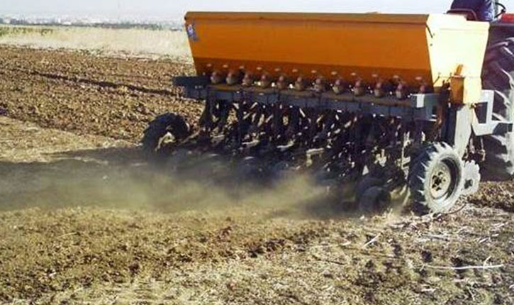 تقدّم موسم بذر الحبوب بالكاف إلى 90% ودعوة لتوفير مادة الأمونيتر لتحسين الإنتاج