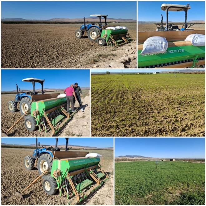 القصرين: الأمطار الأخيرة تعزّز الإنبات وتبشّر بموسم فلاحي واعد 