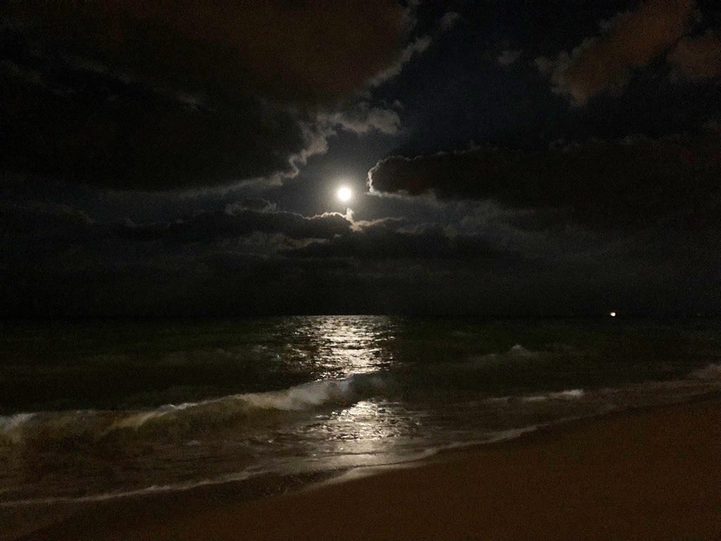  اللّيلة: طقس مغيّم جزئيّا بأغلب الجهات.