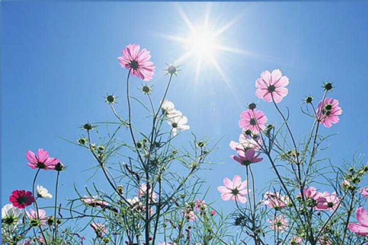 طقس: درجات الحرارة في ارتفاع طفيف