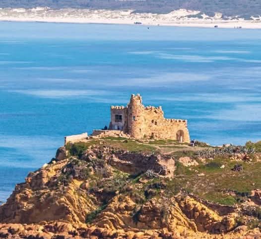 طقس مغيم جزئيا فأحيانا كثيف السحب بالشمال