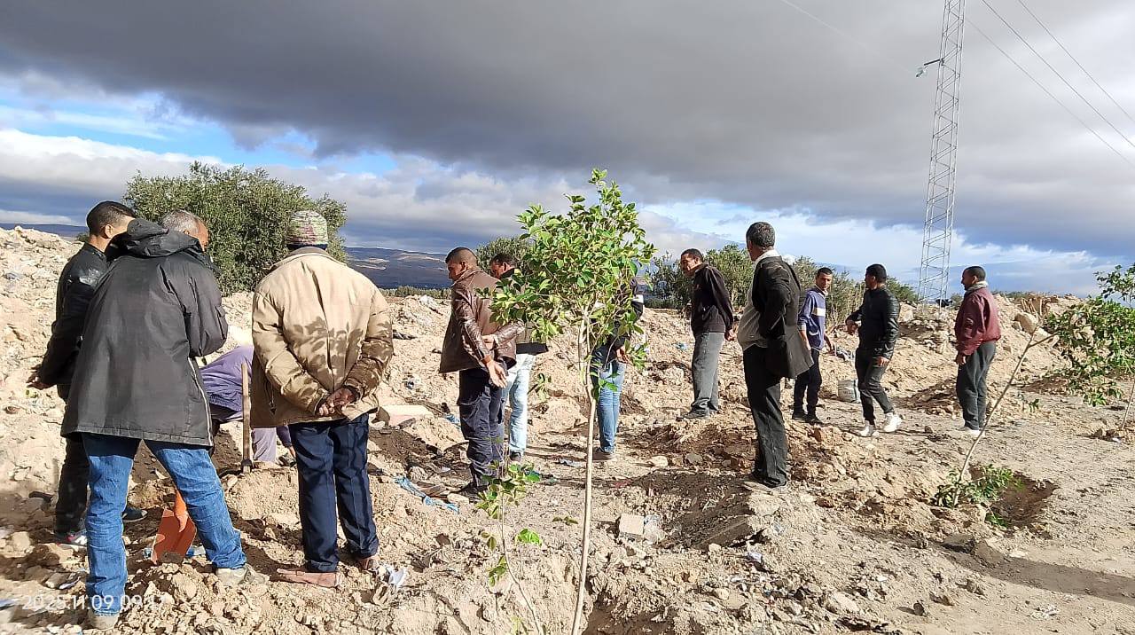 حملة تشجير نموذجية بغابة سدّ البرك بمعتمدية العيون