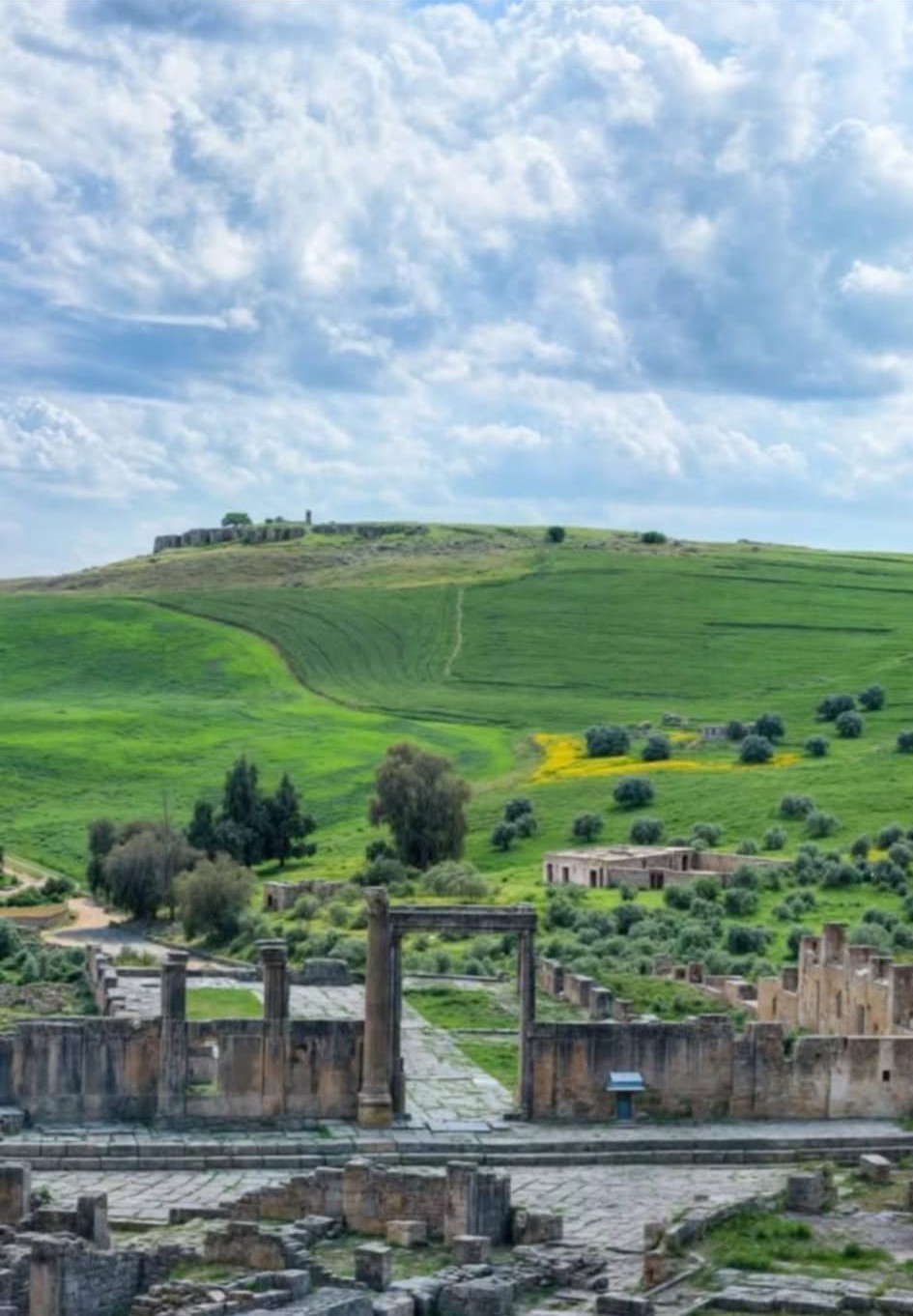 اليوم.. طقس مغيم جزئيا فأحيانا كثيف السحب بأقصى الشمال الغربي مع أمطار ضعيفة