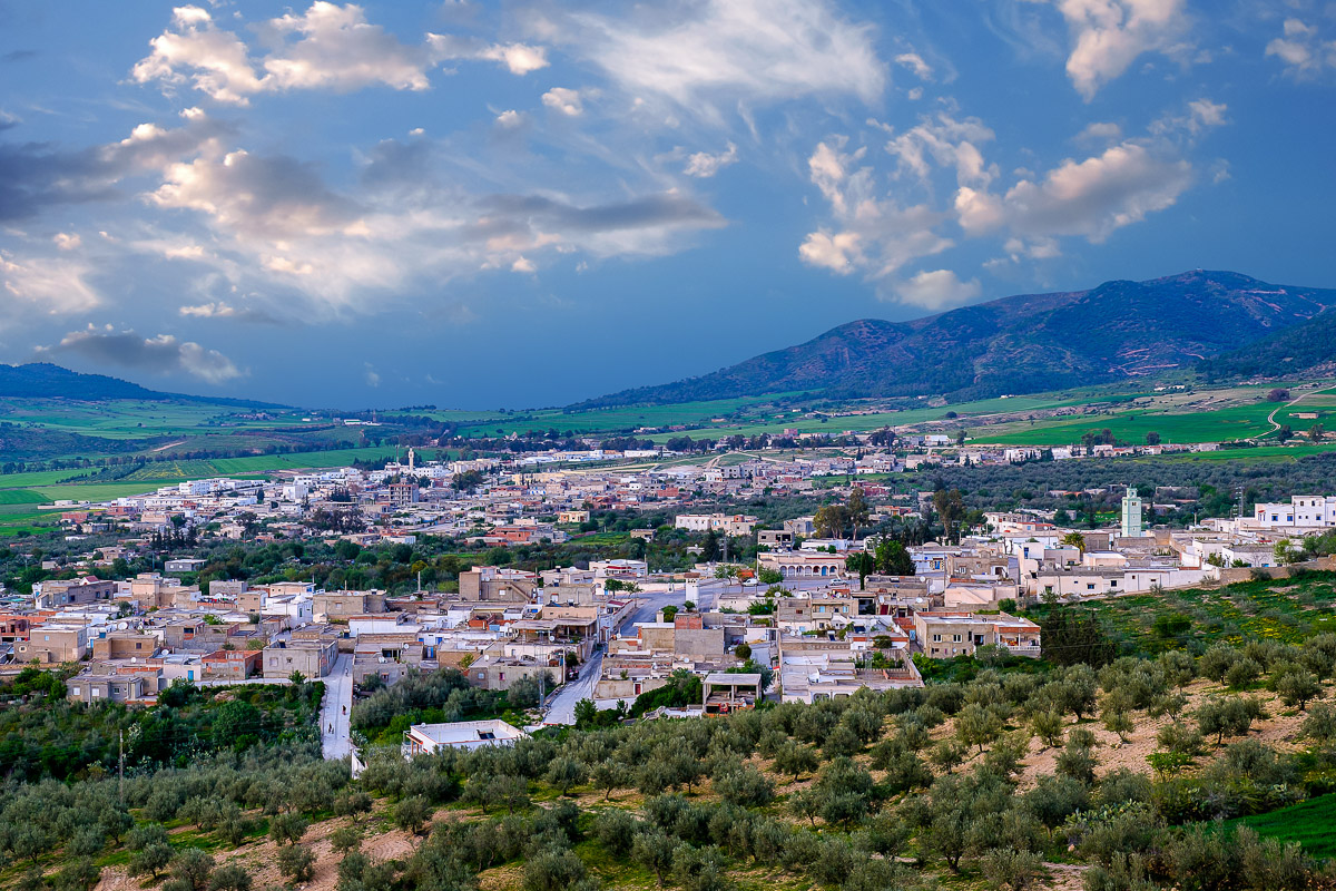 الكاف: اتحاد الفلاحة بنبر يطالب بتوفير كميات إضافية من البذور الممتازة وإنقاذ المنطقة السقوية سيدي خيار 