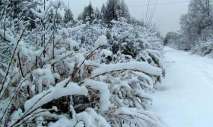 طقس: الثلوج تتساقط في بعض المرتفعات الغربية