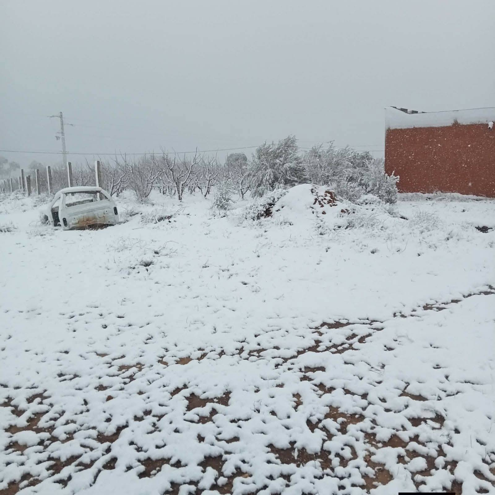 القصرين: تساقط كميات طفيفة من الثلوج بتالة واستنفار محلّي تحسّبًا لأيّ طارئ