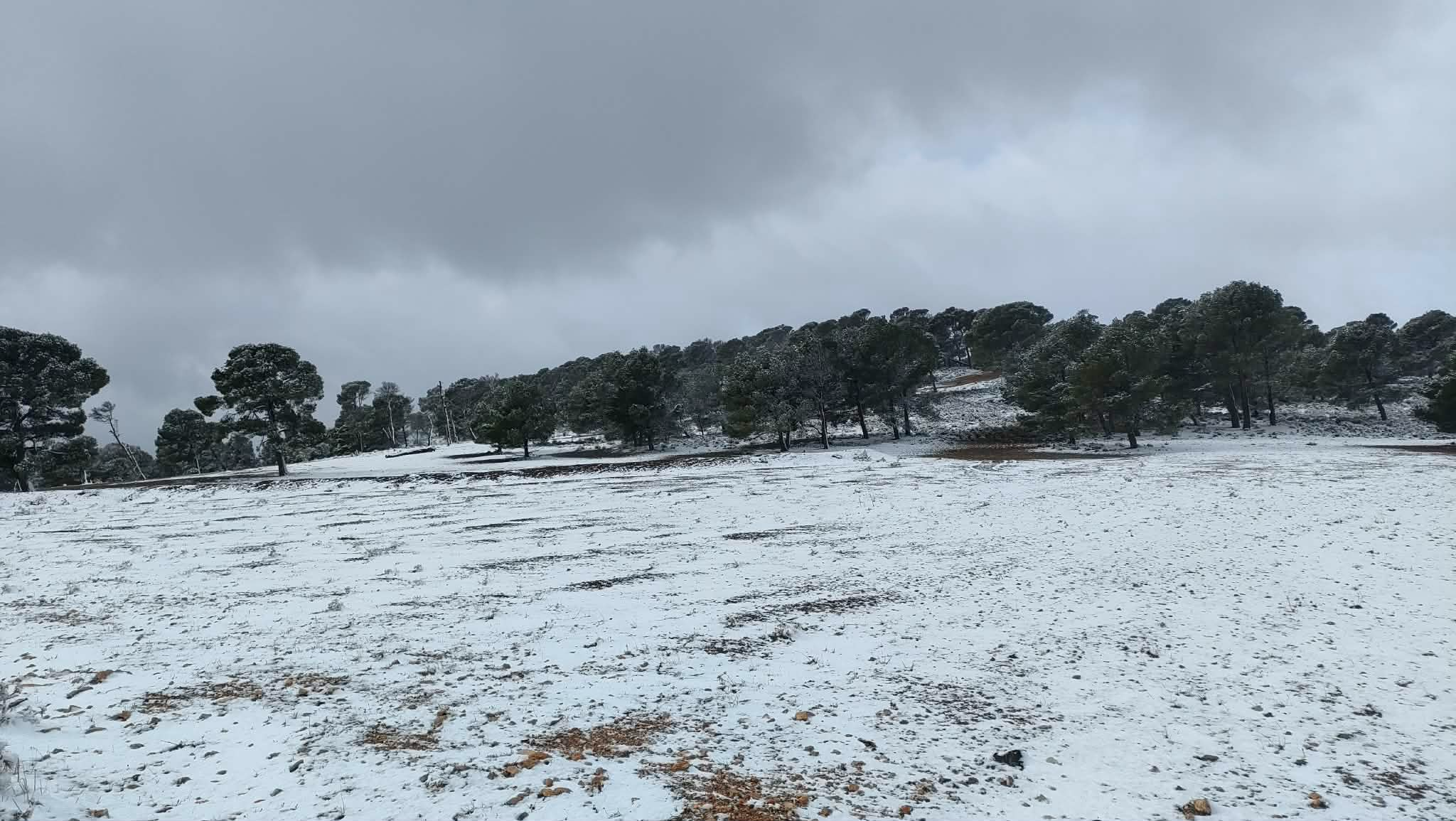 القصرين: تساقط كميات طفيفة من الثلوج بتالة واستنفار محلّي تحسّبًا لأيّ طارئ