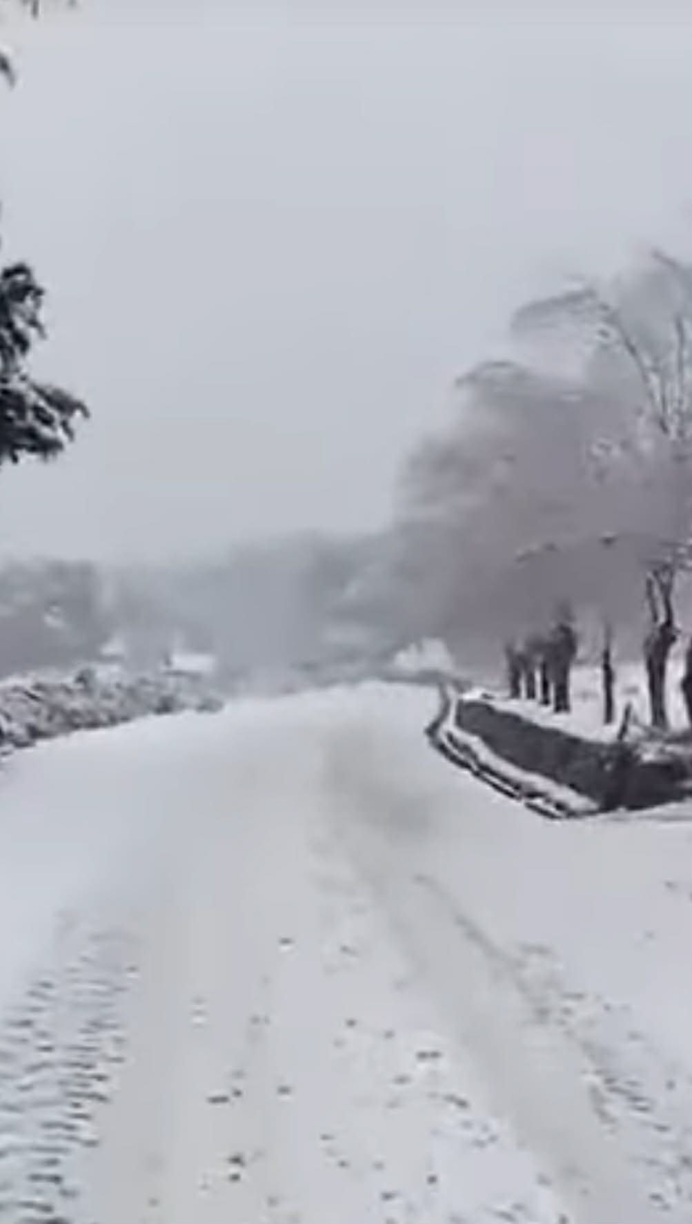 القصرين: تساقط كميات طفيفة من الثلوج بتالة واستنفار محلّي تحسّبًا لأيّ طارئ