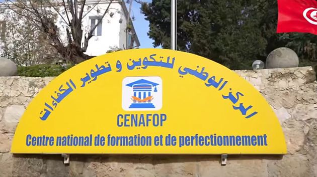 مركز التكوين وتطوير الكفاءات يشرع في تنفيذ برنامج وطني لتكوين 260 مرافق مدرسي لادماج التلاميذ ذوي الاعاقة في المنظومة التربوية