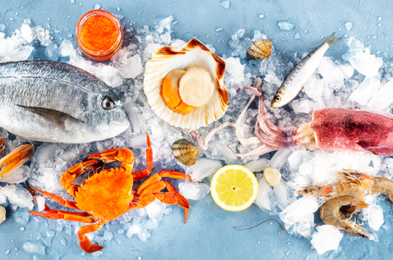 الميزان التجاري لمنتوجات الصيد البحري يُسجل فائضا بـ225 م/د موفى نوفمبر 2025