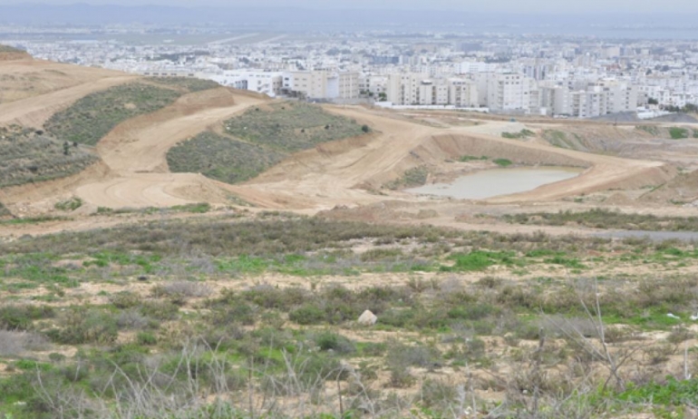 وزارة الصناعة: قرار جديد متعلق بتغيير صبغة الأراضي الفلاحية التي أقيمت عليها مشاريع صناعية